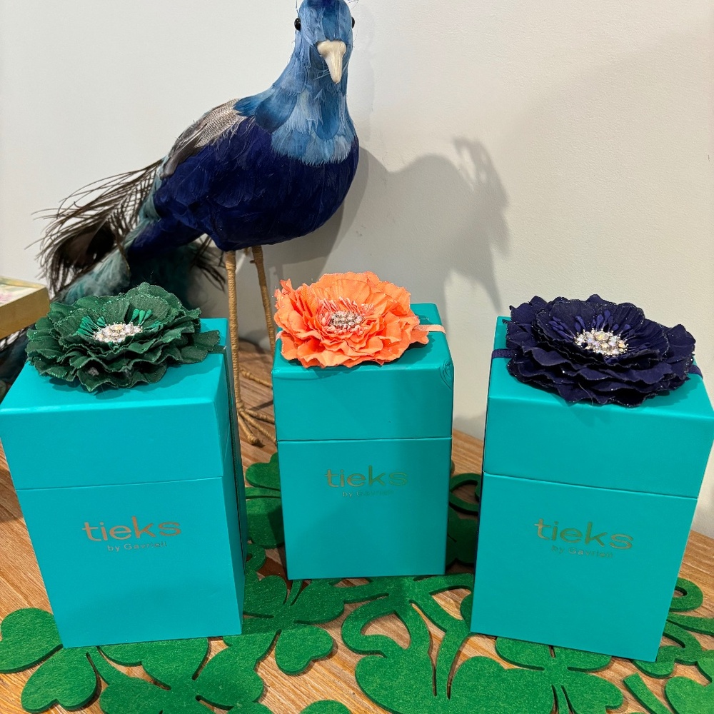 3! Tieks Boxes with Flowers and 2 purse shoe sets with bags